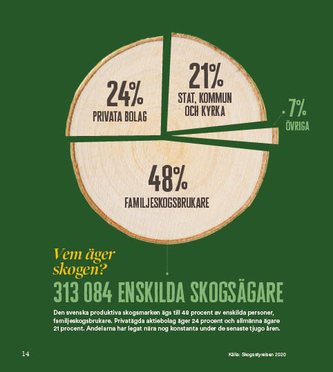 Skogen - Den gröna tråden